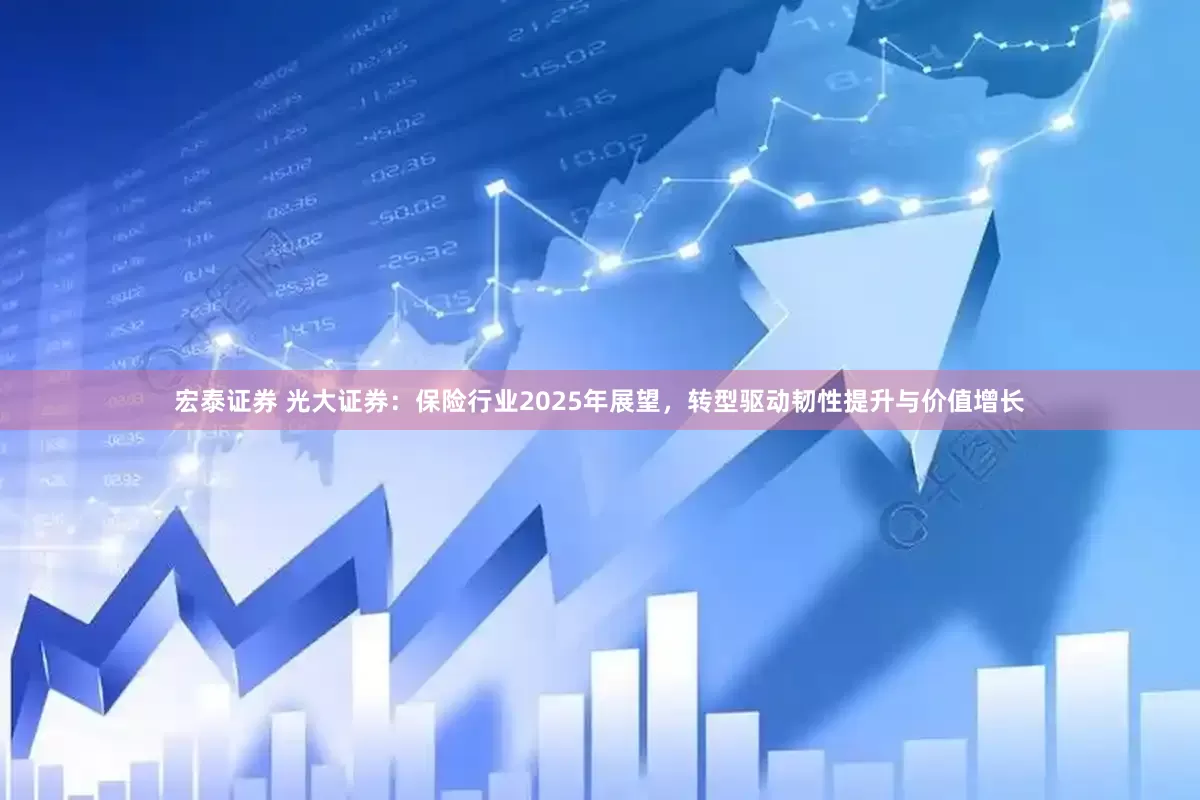 宏泰证券 光大证券：保险行业2025年展望，转型驱动韧性提升与价值增长