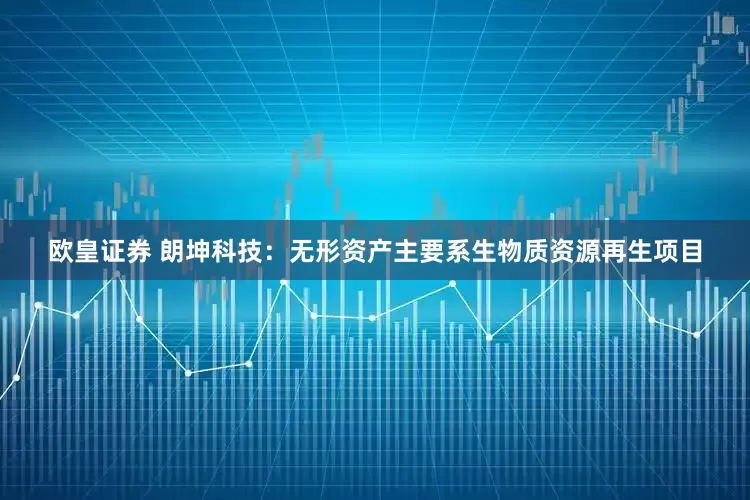 欧皇证券 朗坤科技：无形资产主要系生物质资源再生项目